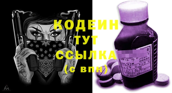 гидра Ельня