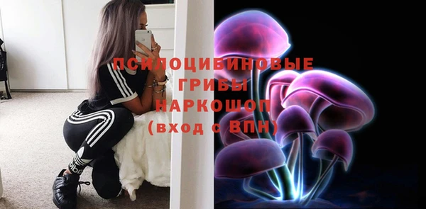гидра Ельня