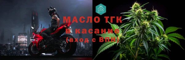 гидра Ельня