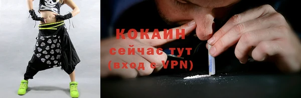 ALPHA PVP Елизово