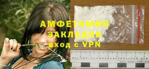 гидра Ельня