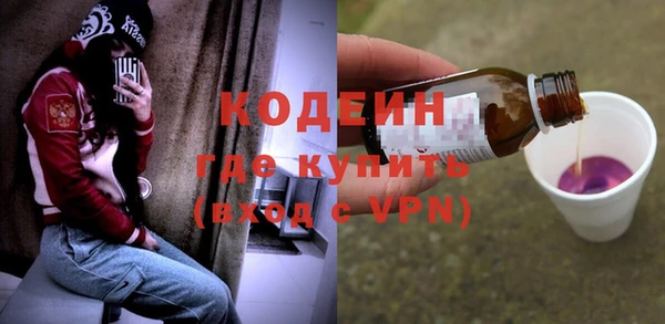 гидра Ельня