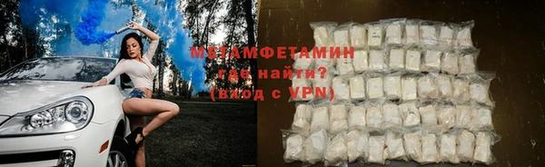 гидра Ельня