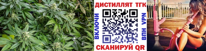 ТГК Wax  Купить где  Мирный 
